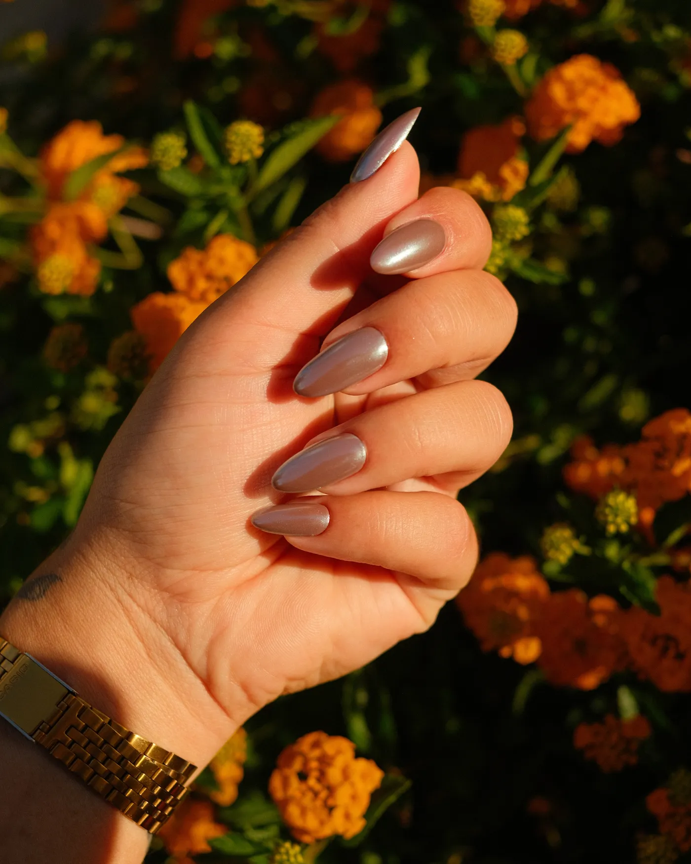 Manicure & Pedicure at home in Chandigarh